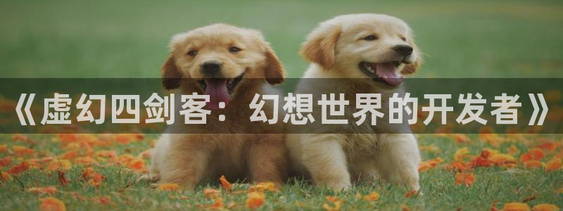 pg国际老版本的使用方法及注意事项