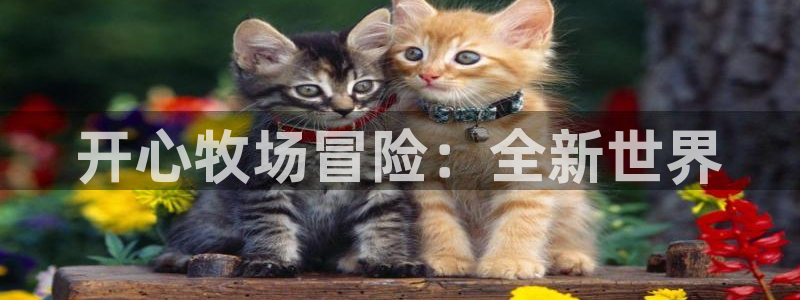 pg国际预测网最新版本更新内容：开心牧场冒险：全新世界