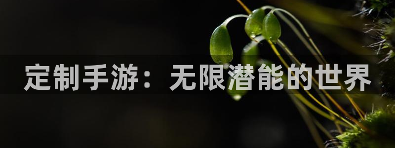 pg国际PC官网：定制手游：无限潜能的世界