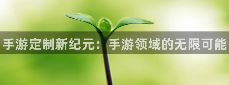 28大神开奖软件：手游定制新纪元：手游领域的无限可能