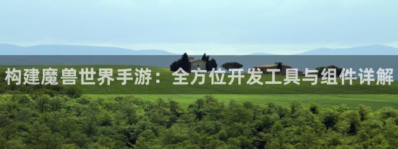 pg国际软件：构建魔兽世界手游：全方位开发工具与组件详解